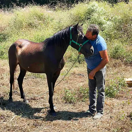 Lily Home_lefkada ~ Private Σπίτι διακοπών